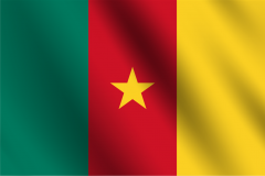Bandera de Camerun