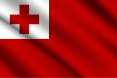 Bandera de Tongo