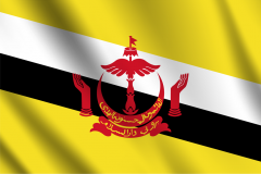 Bandera de Brunie