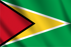 Bandera de Guyana