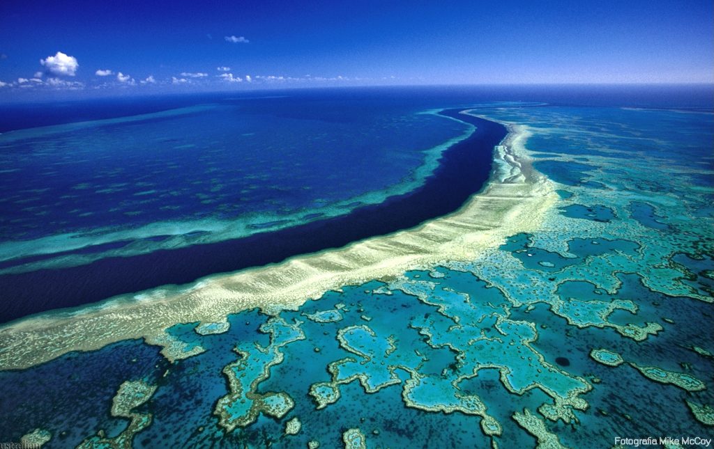 Gran barrera de coral, Oceania