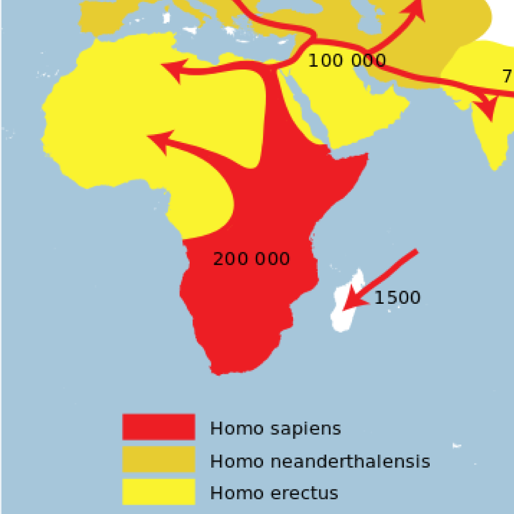 Teoria de como ocurrio la primera migración desde África