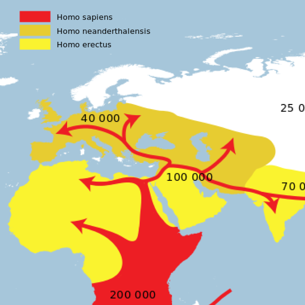 Primeras migraciones a Europa