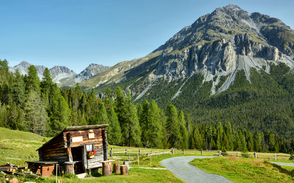 Dentro del Parque Nacional Suizo puedes practicar el montañismo