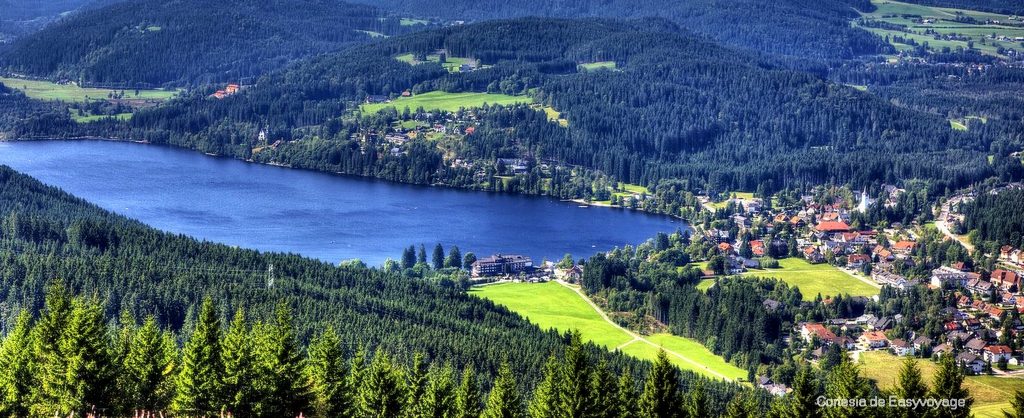 La selva negra, Alemania