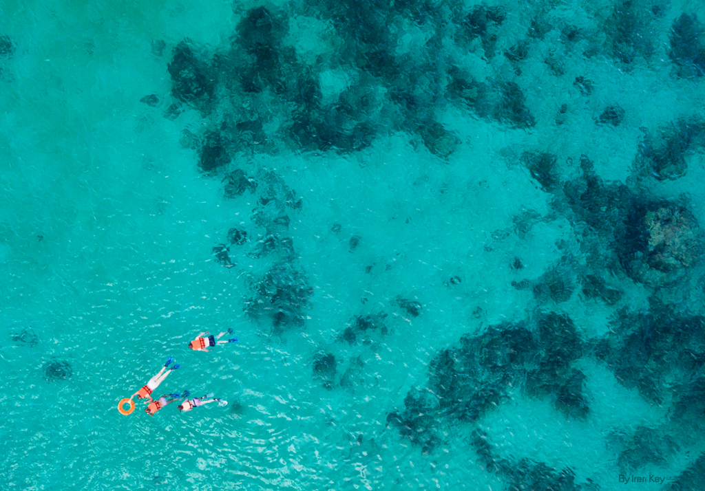 Sumergido entre aguas cristalinas y corales en Aruba. ShutterStock Image