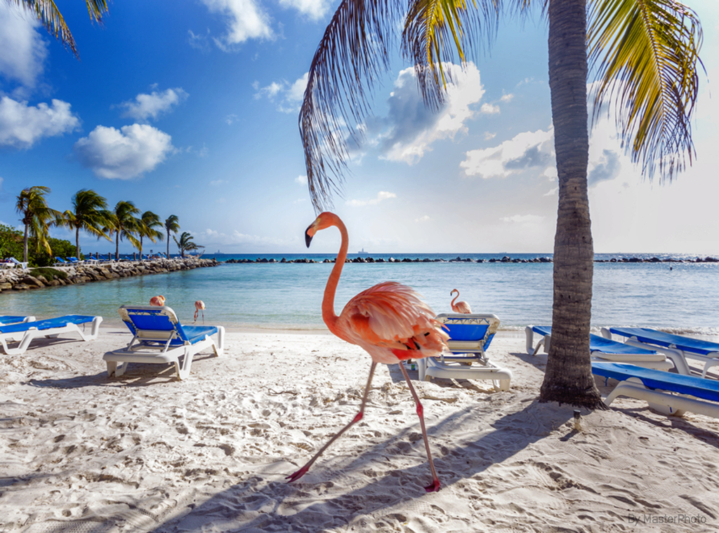 Playa Flamenco en Aruba. ShutterStock Image