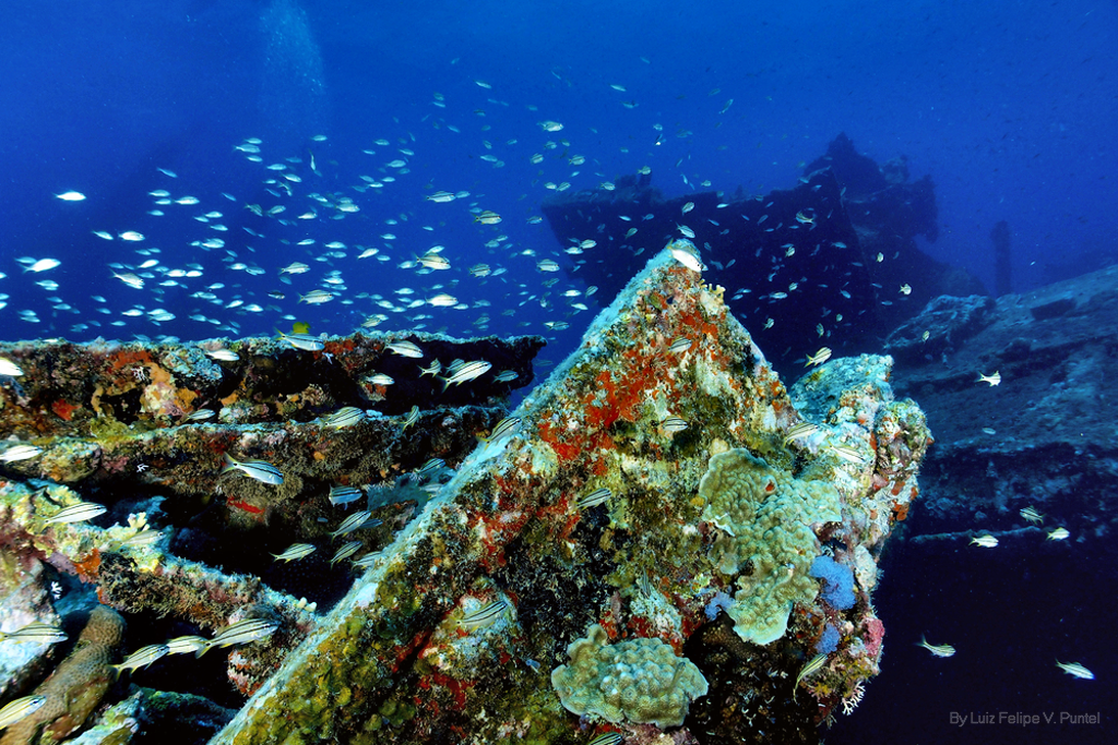 Demuestra tus habilidades de buceo, en el naufragio Antilla en Aruba. ShutterStock Image