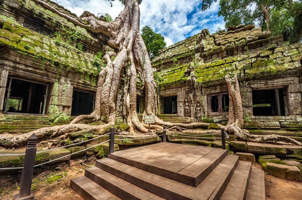 Ruinas del Templo Ta Prohm - freepik image