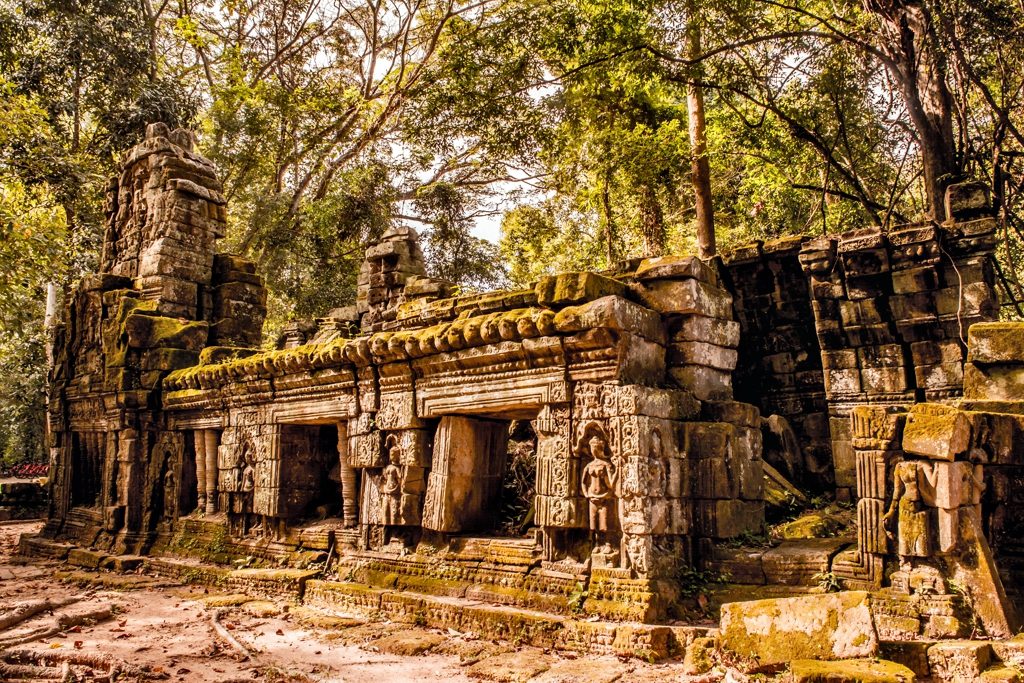 Vista de como la selva se fusiona con el Templo Ta Prohm - freepik image